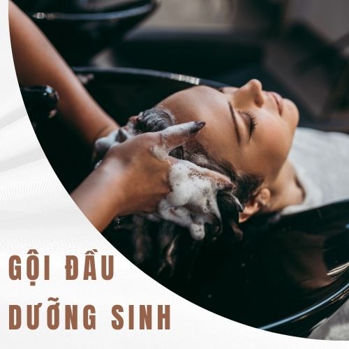 Gội đầu dưỡng sinh
